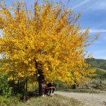 Italie toscane vignobles - voyage en famille terra italia