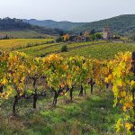 Italie Toscane - voyage en famille terra italia