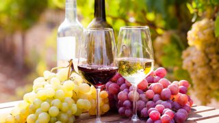 Dégustation de vins en Italie