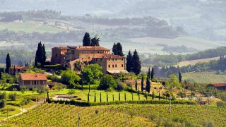 Un vignoble en Toscane