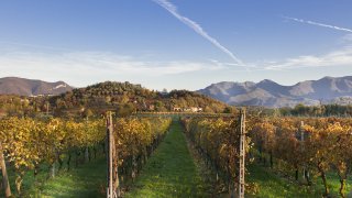 Les vallées viticoles du Franciacorta